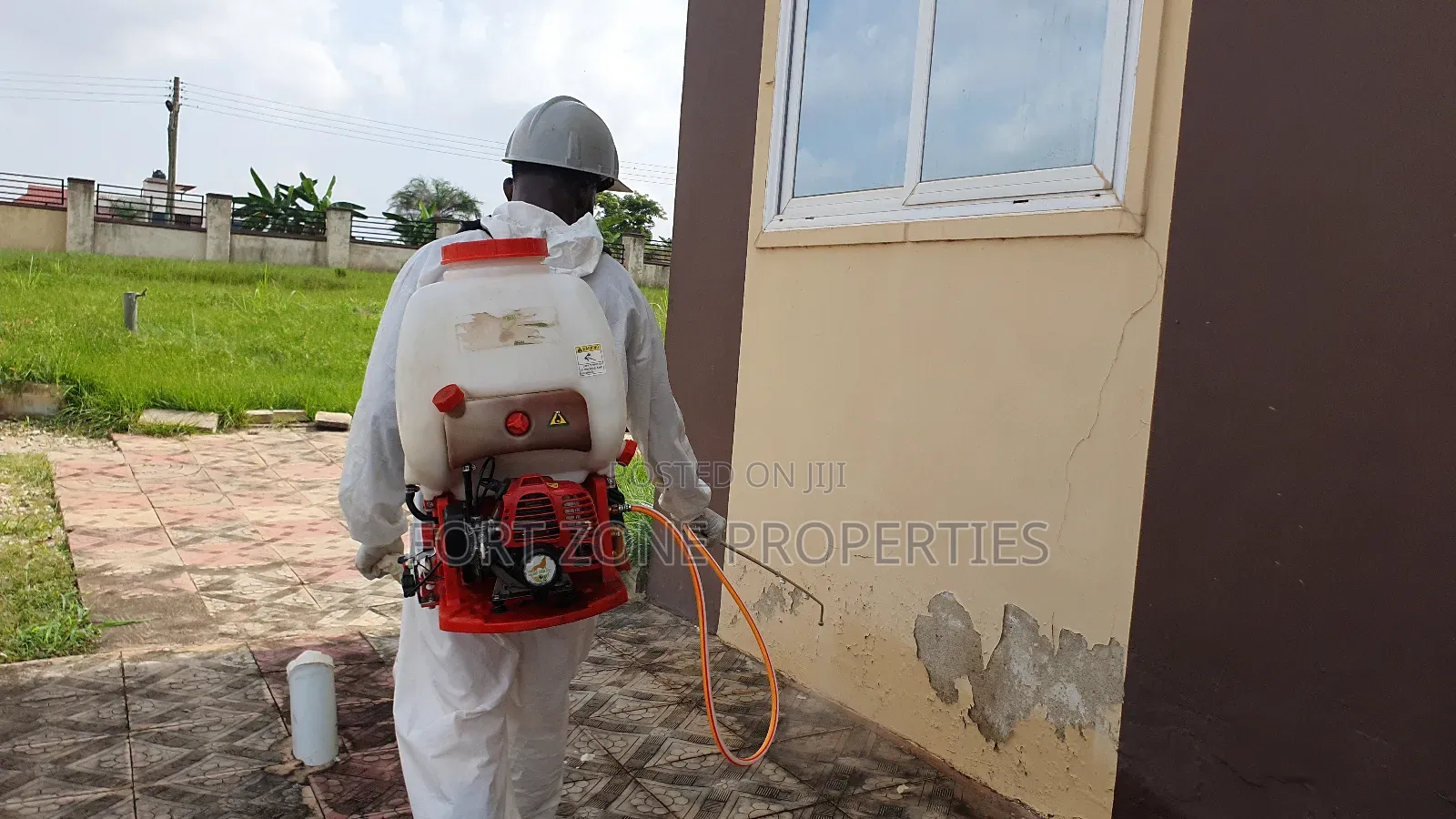 Free Your Home From Insect Now