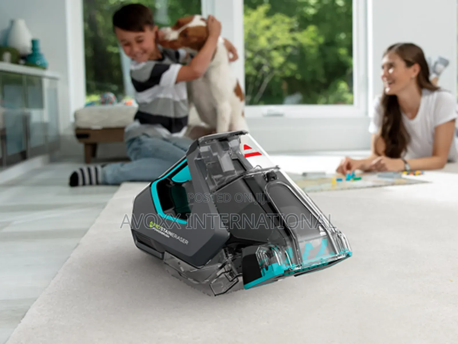 Bissell Stain Eraser Powerbrush, Dirtlifter Powerbrush 2837