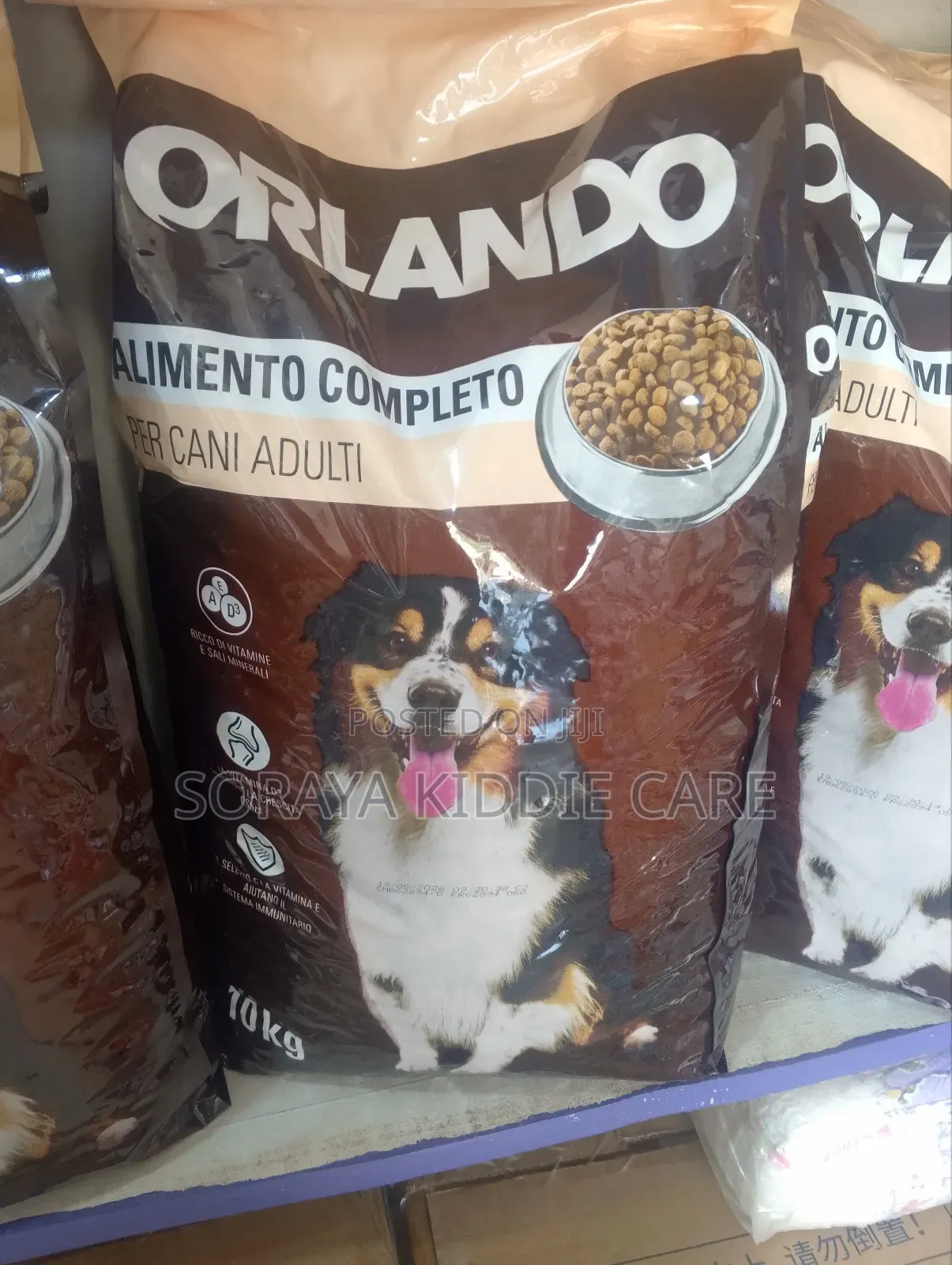 Orlando Dog Feeds