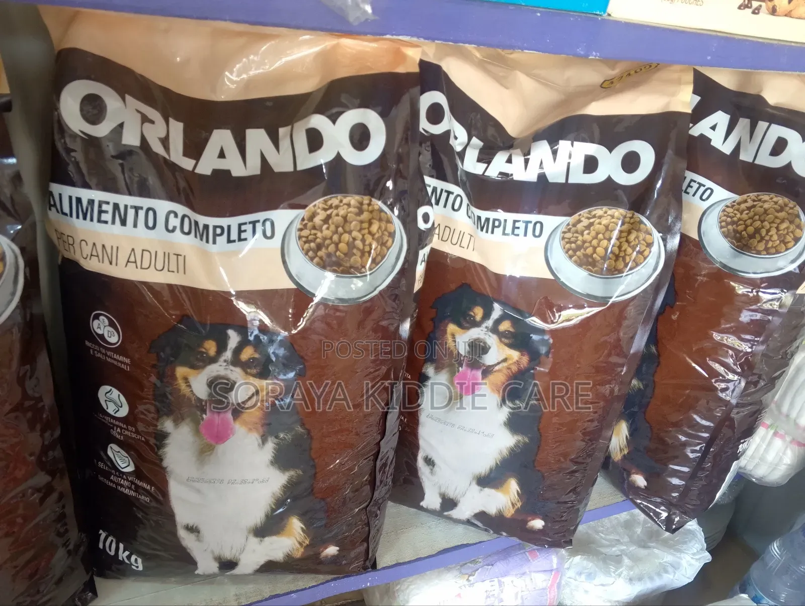 Orlando Dog Feeds