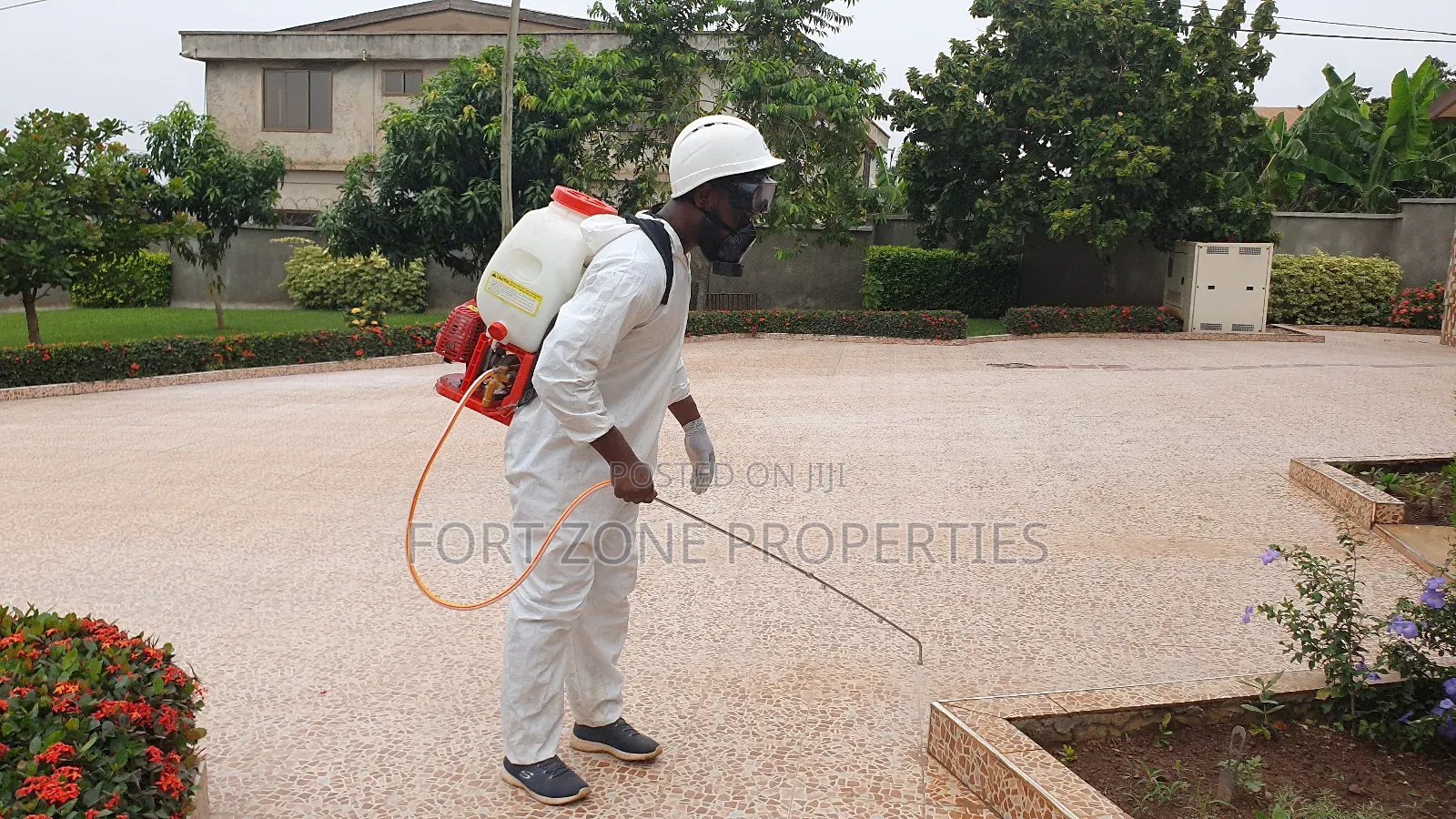 Professional Pest Control for Schools,Homes,Offices