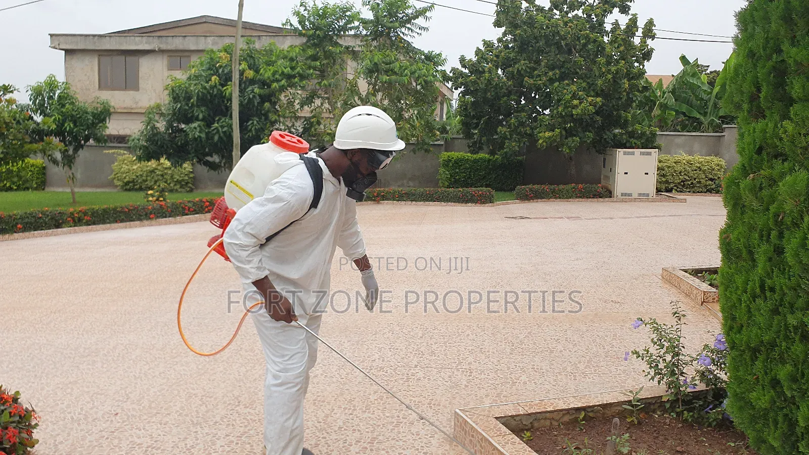 Professional Pest Control for Schools,Homes,Offices