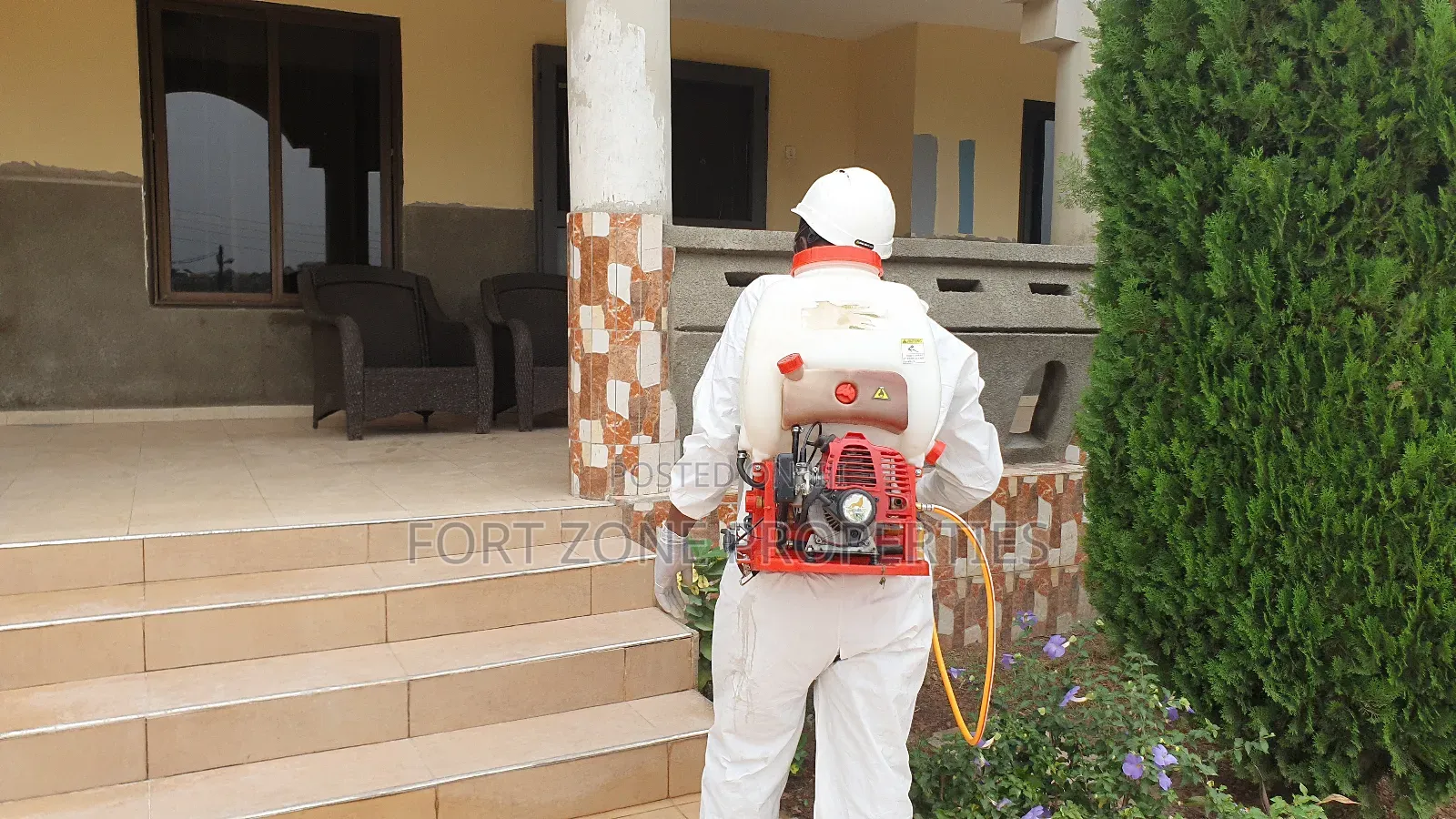 Professional Pest Control for Schools,Homes,Offices