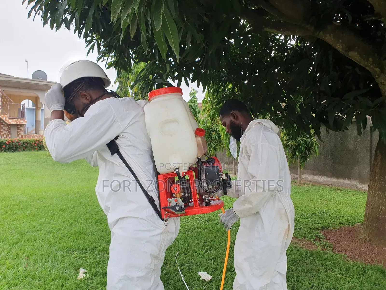 Professional Pest Control for Schools,Homes,Offices