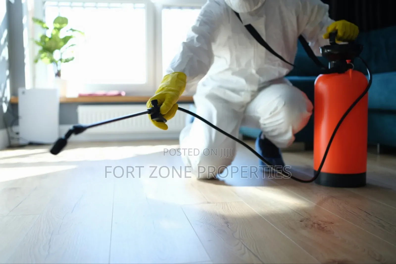 Insect Masters