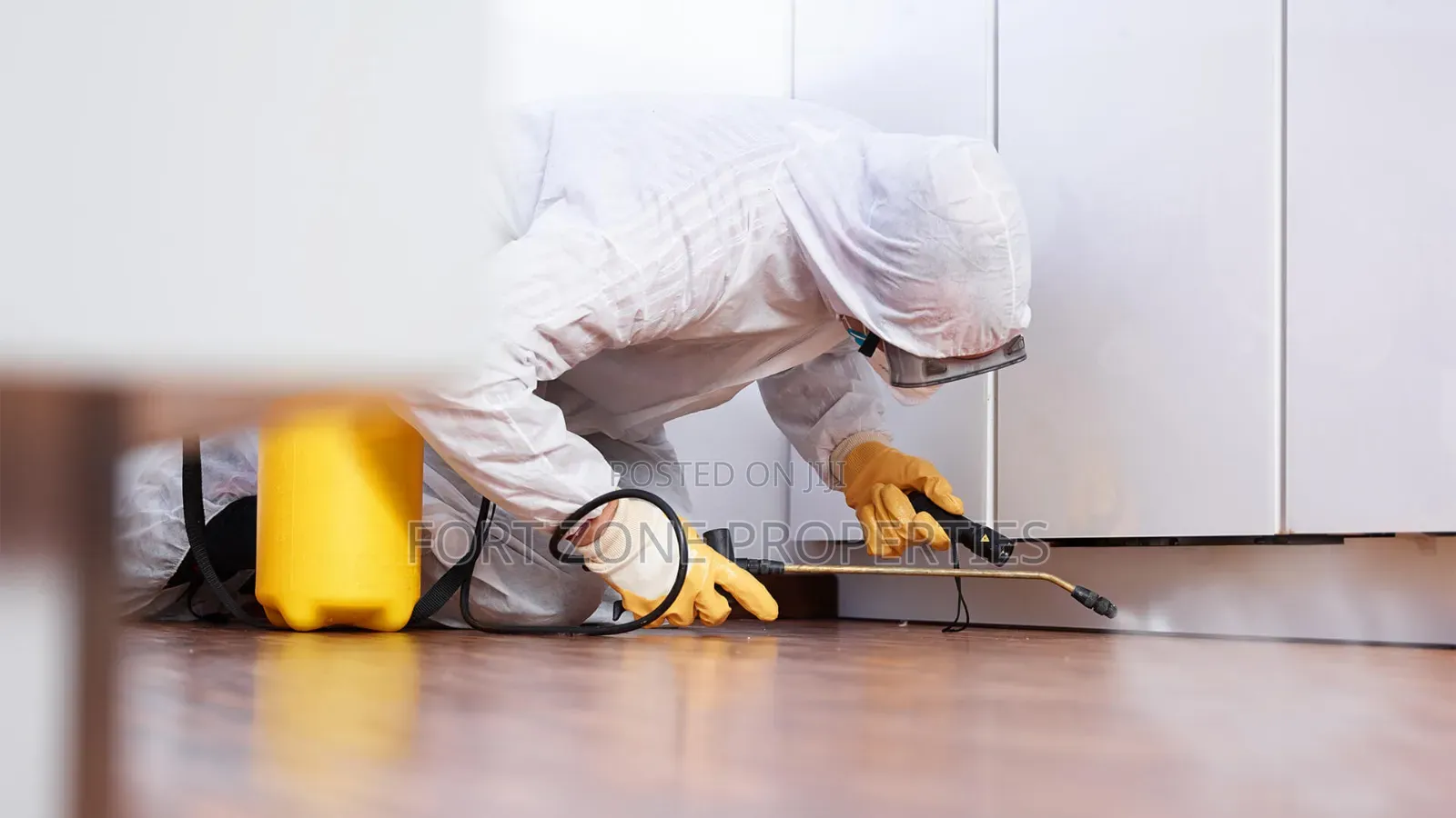 Insect Masters