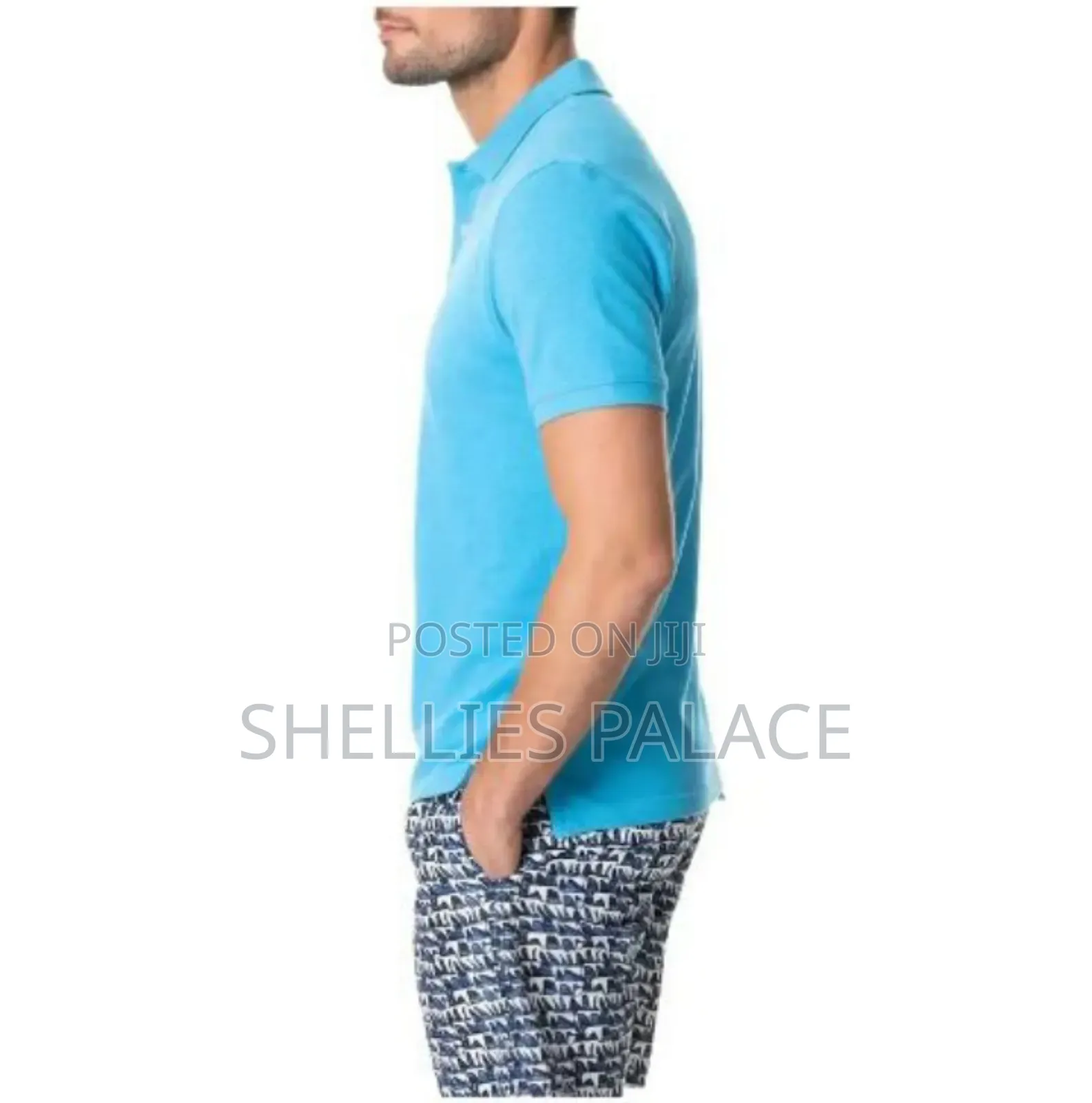 Men's Quick Drying Polo Shirt Polyester Casual Collared