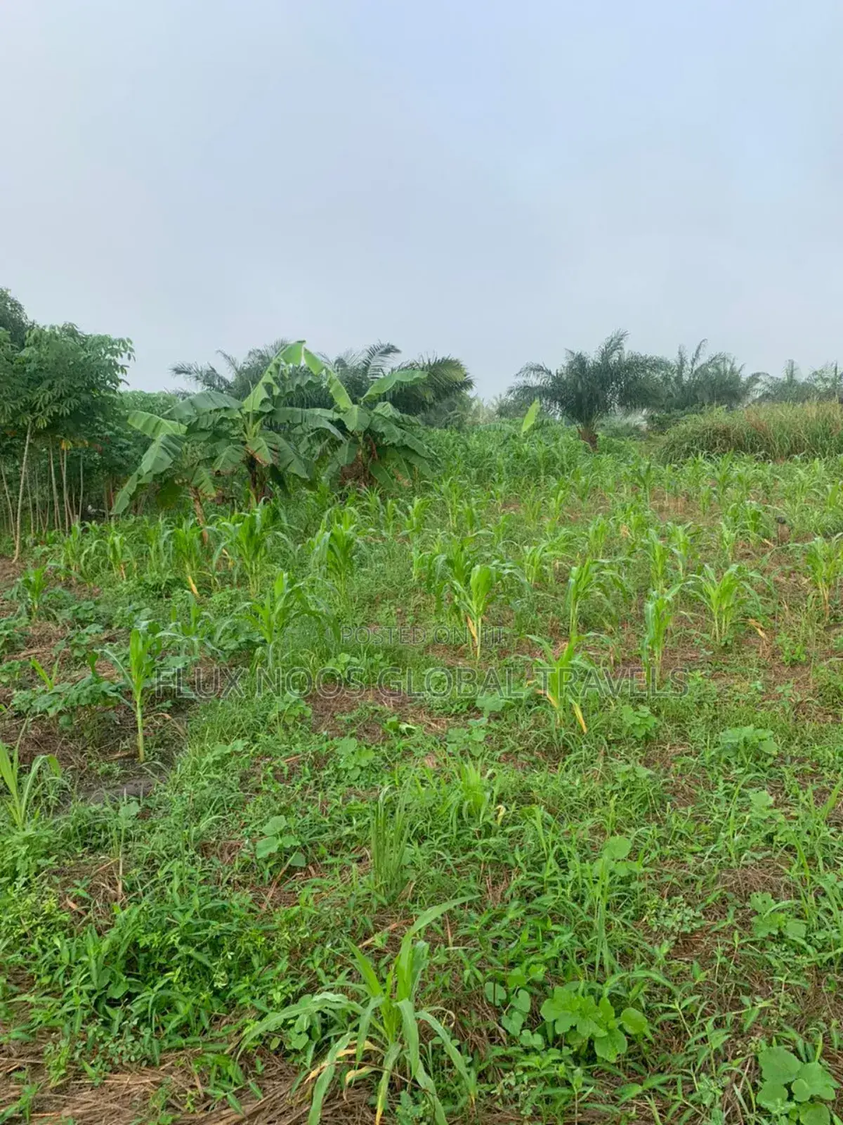 Car for Land Deal Available Now