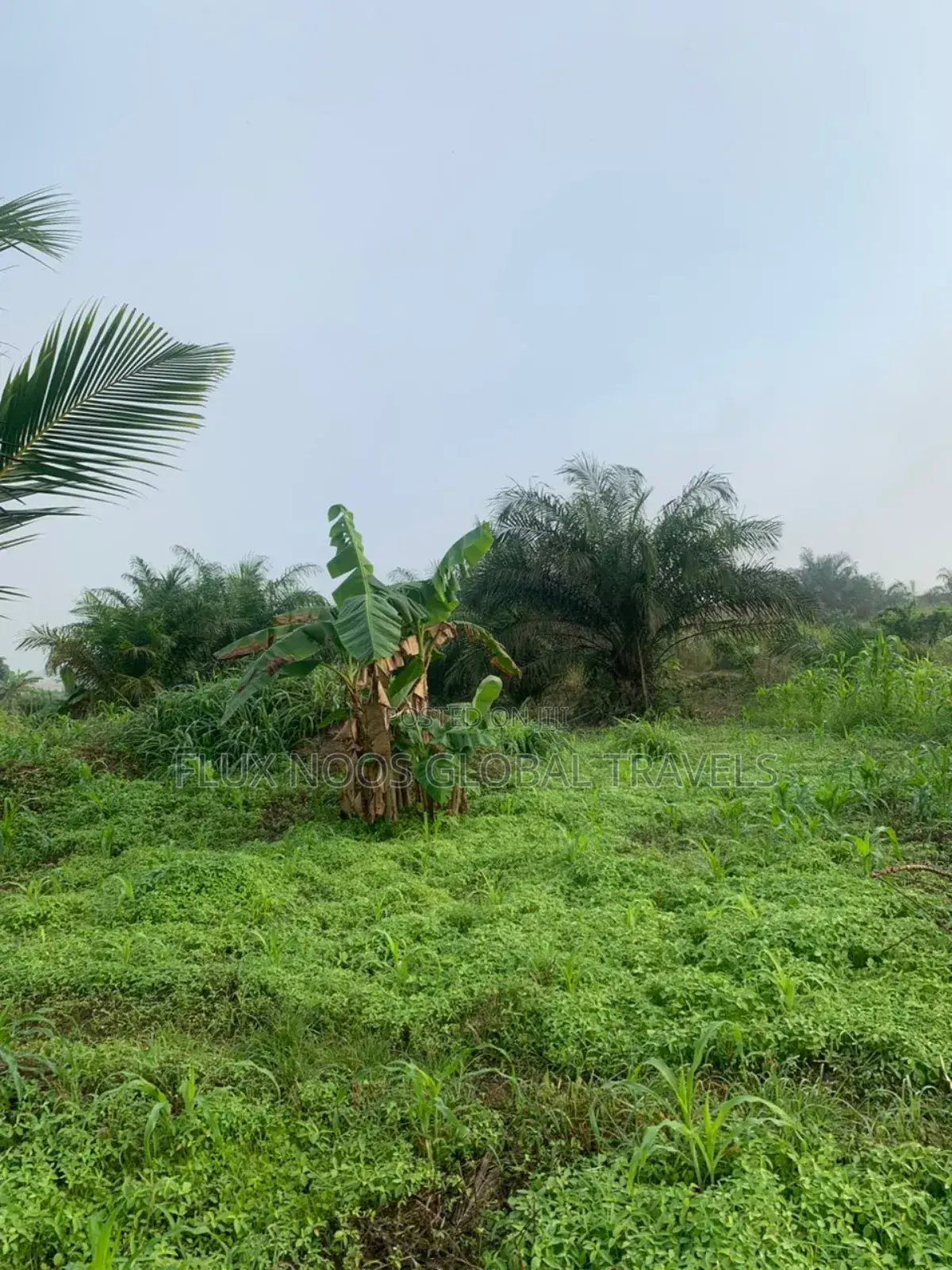 Car for Land Deal Available Now