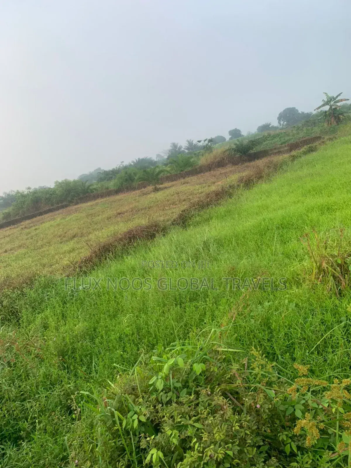 Car for Land or Lands for Sale.