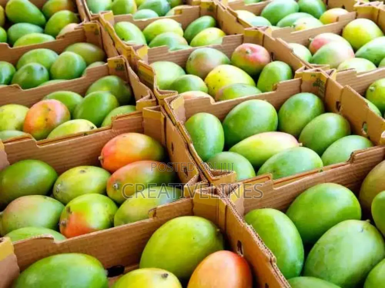 Supply of Mangoes