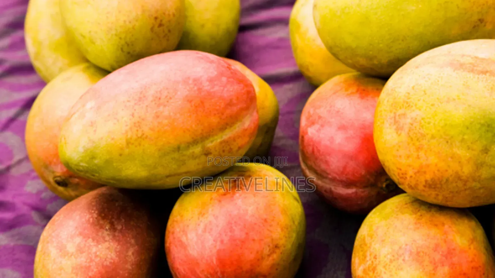 Supply of Mangoes