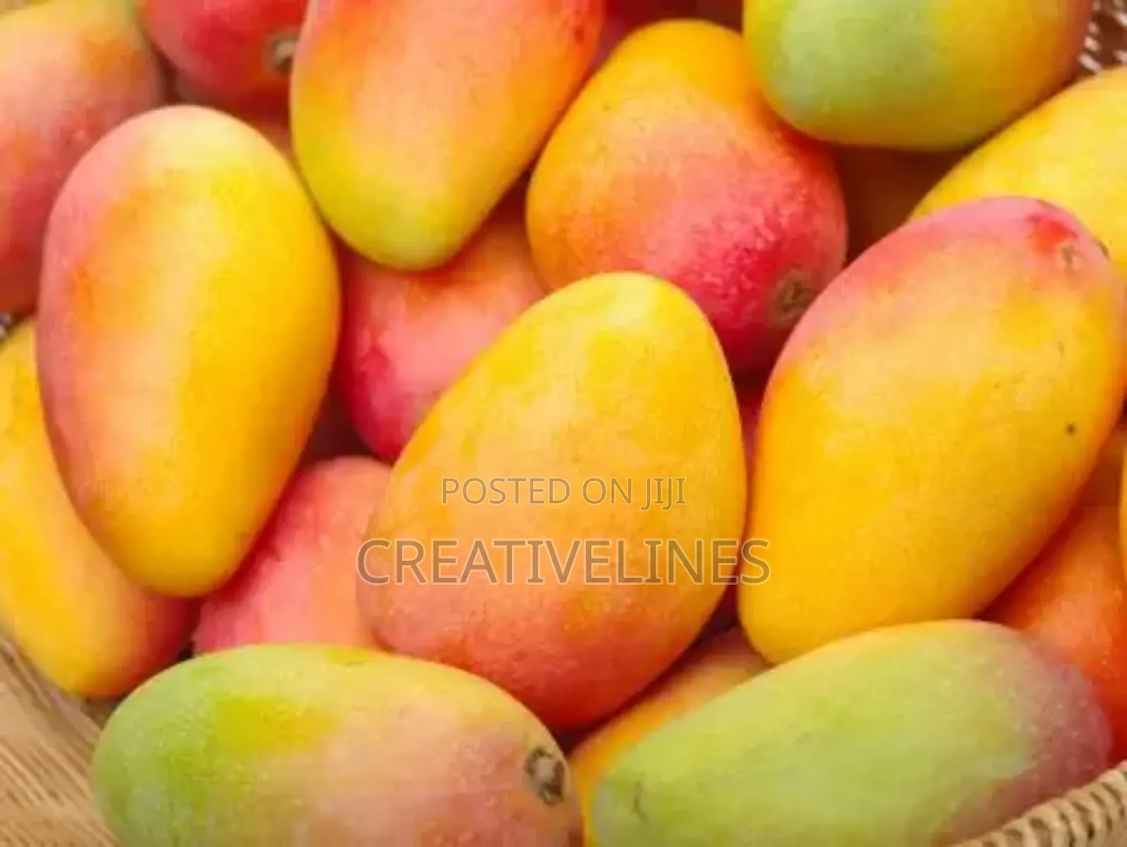 Supply of Mangoes
