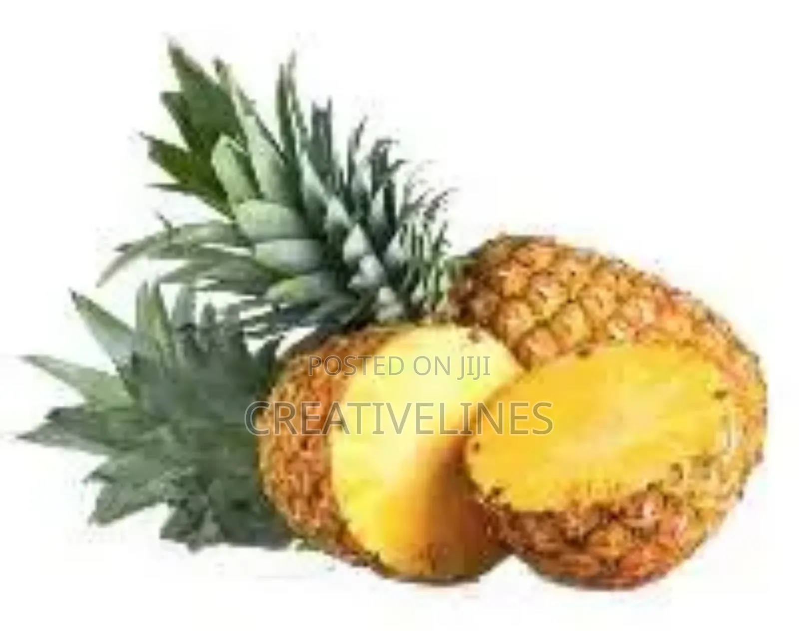 Supply of Pineapple