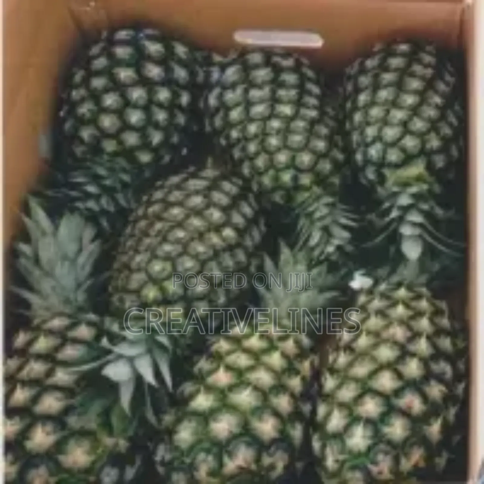 Supply of Pineapple