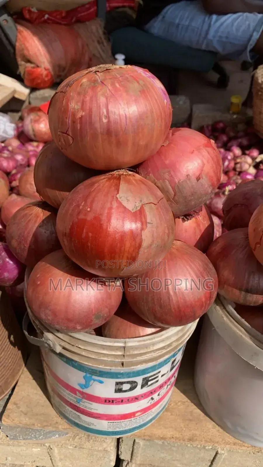 Fresh Onions