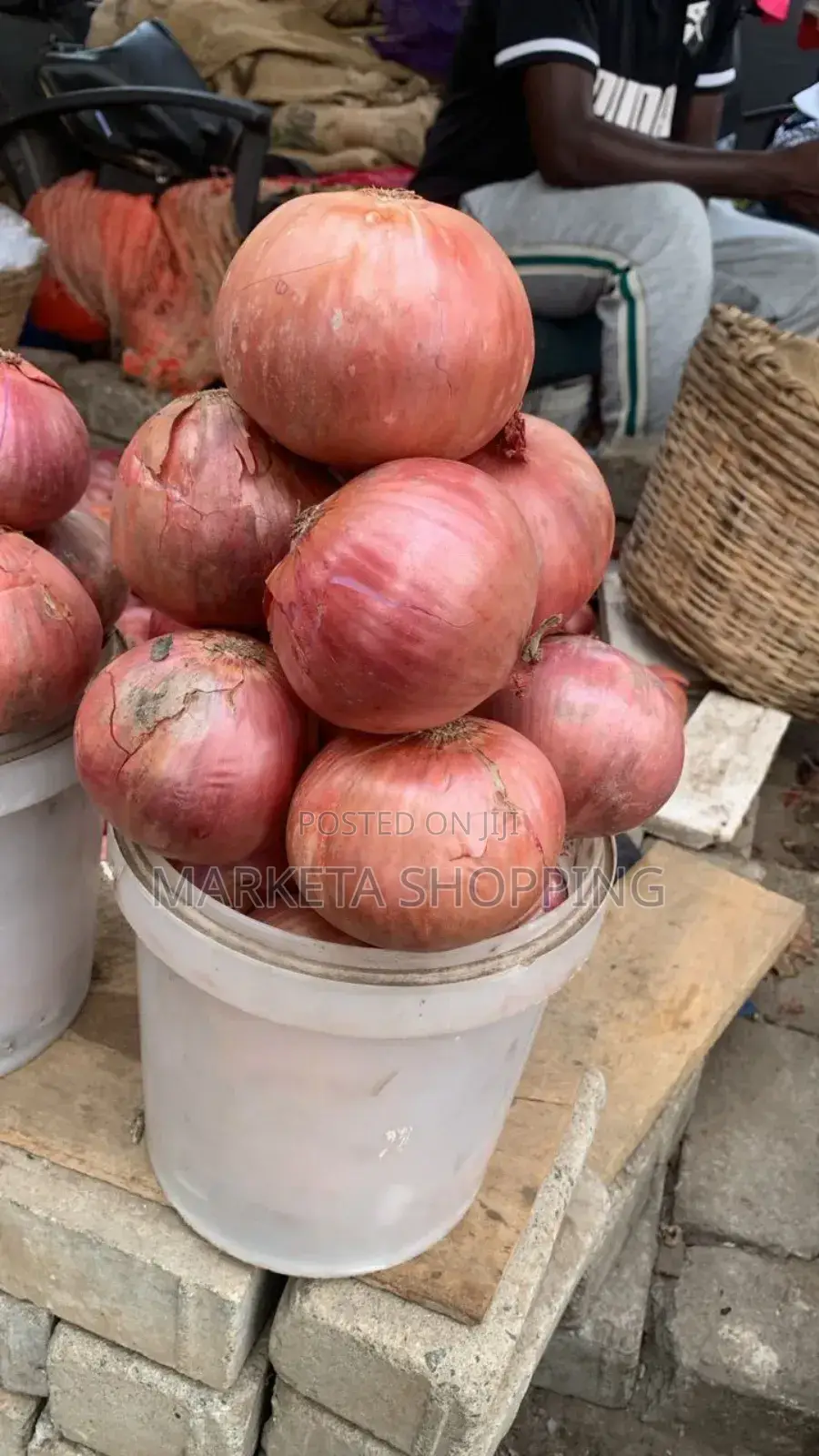 Fresh Onions