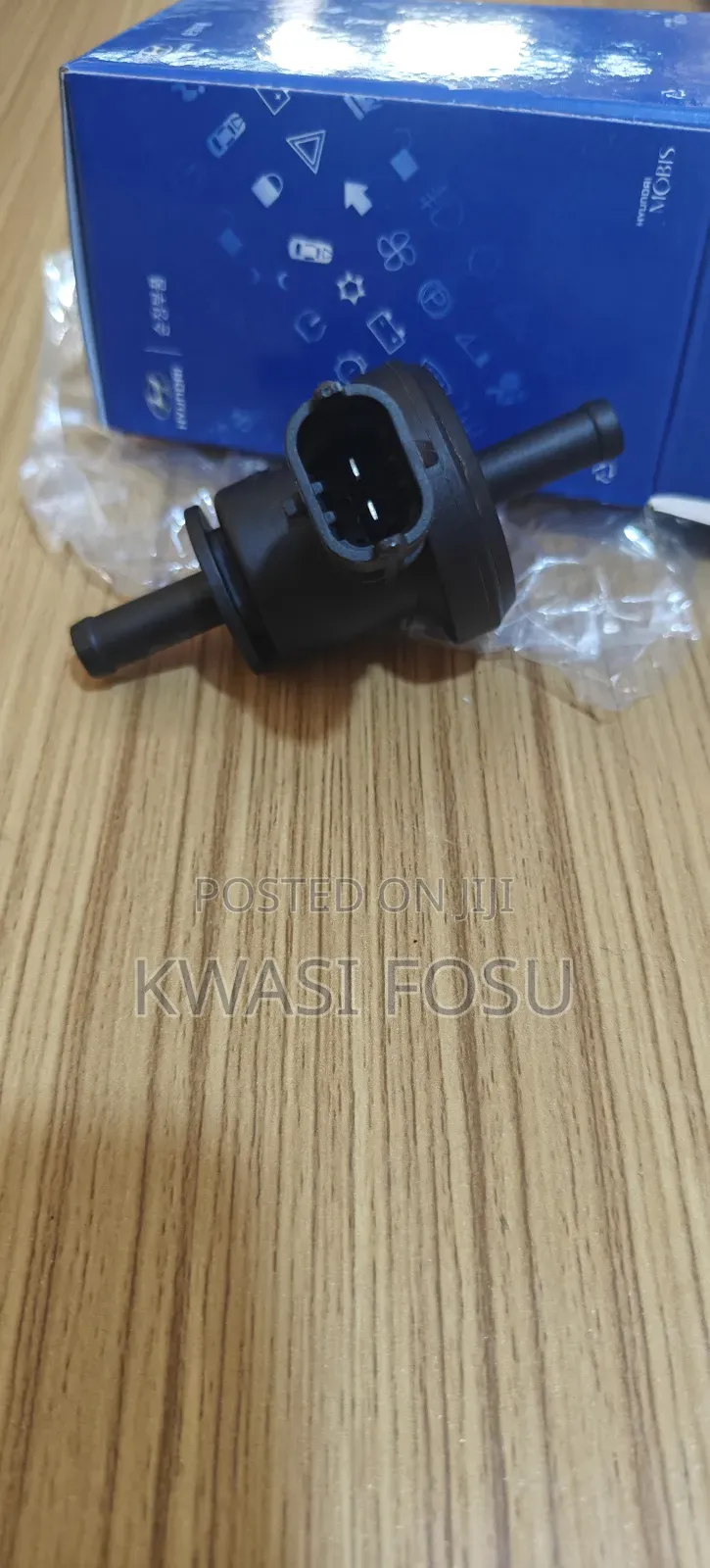 Kia Perdge Valve (E-Valve )