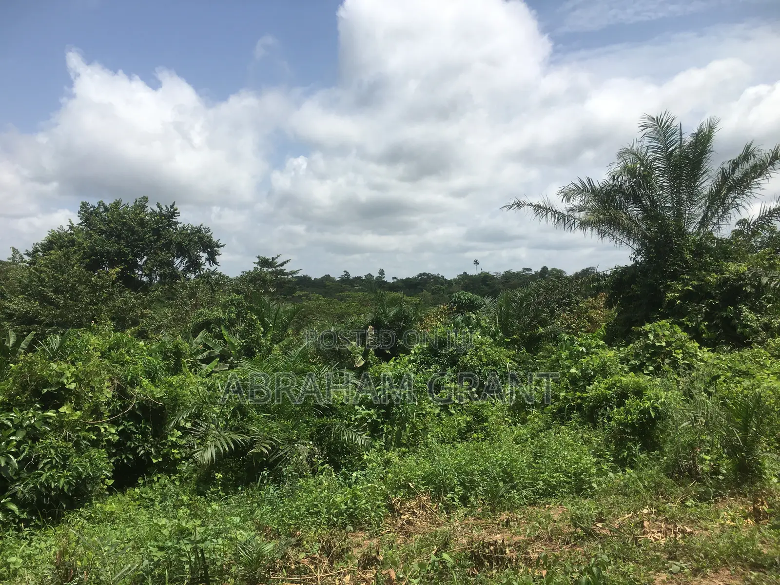 Farm Land for Sale at Ejisu Kotie One Acre Going