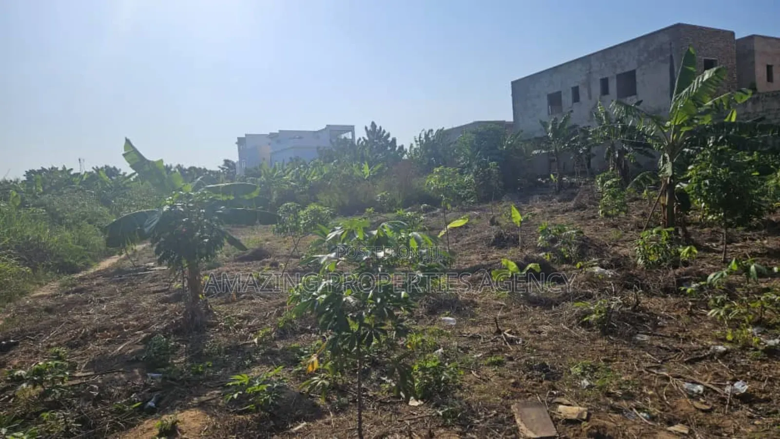 2.78 Acres of Land at Tema