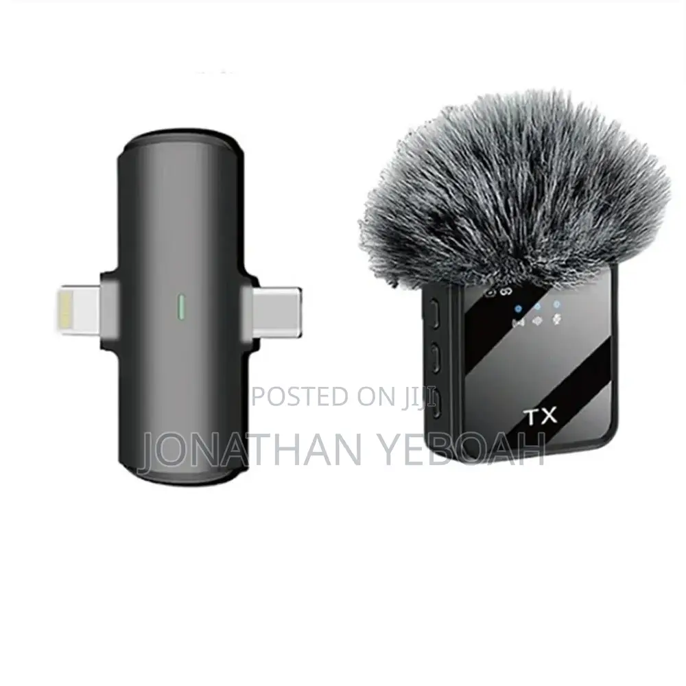 2 in 1 Wireless Microphone