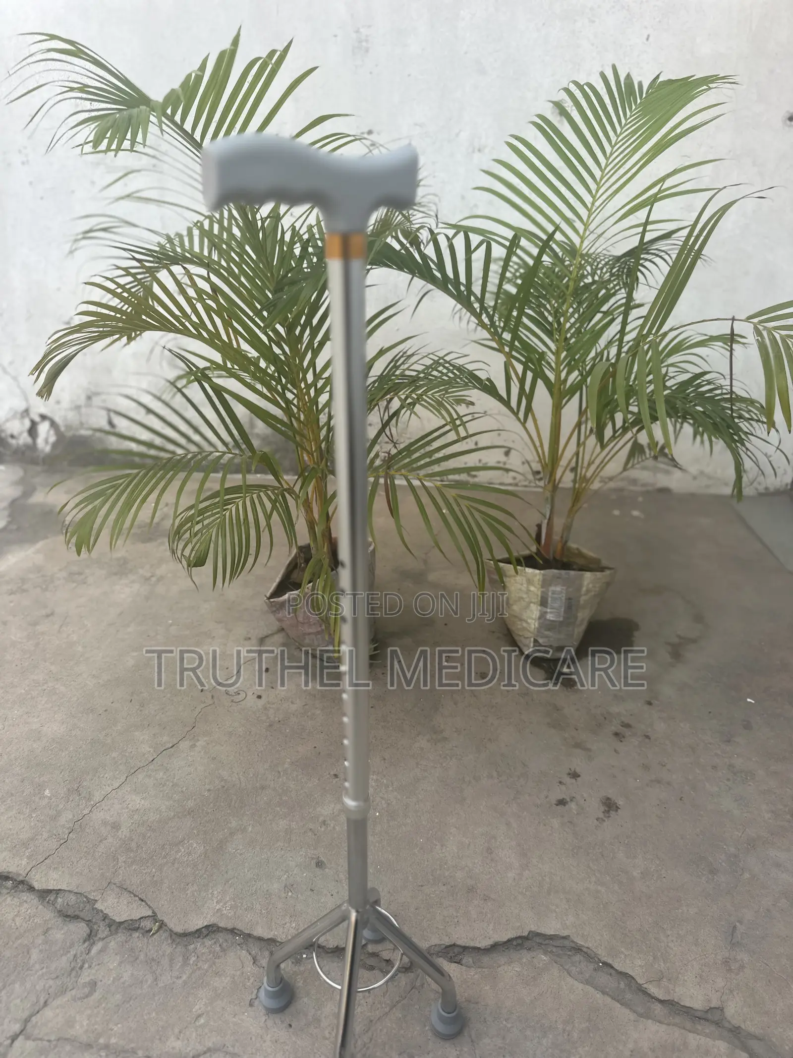 Walking Stick (Quade Cane)