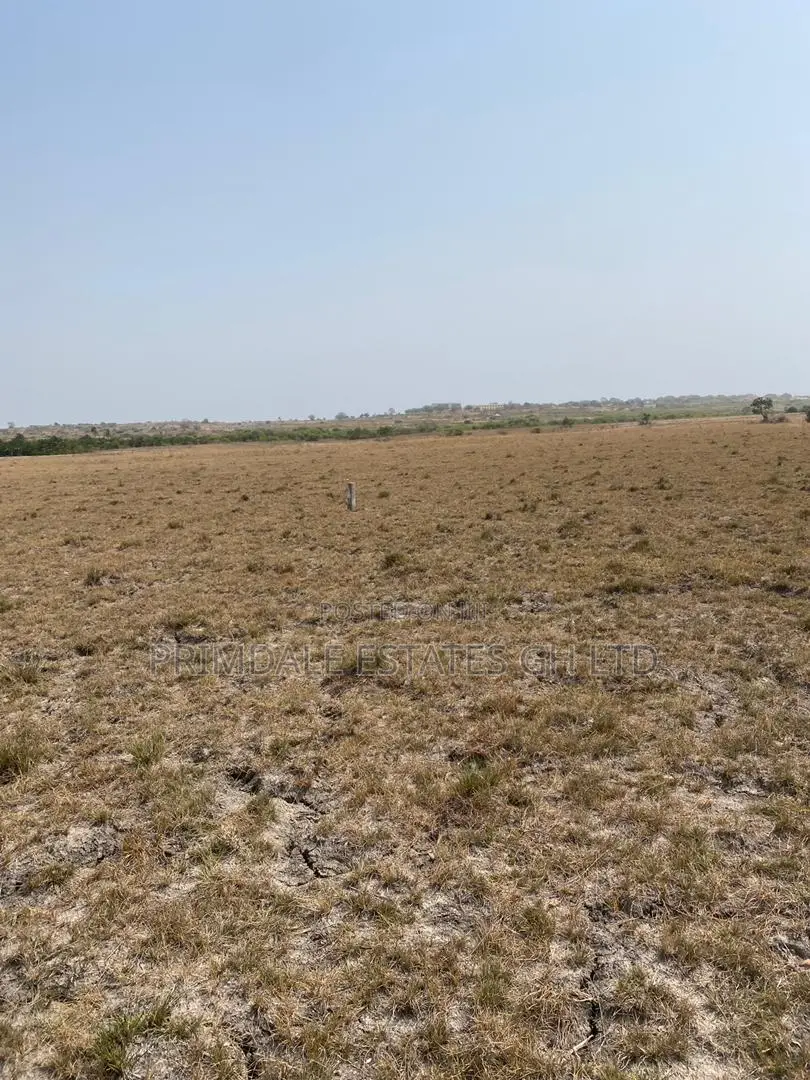 Tsopoli Airport City Lands on Sale