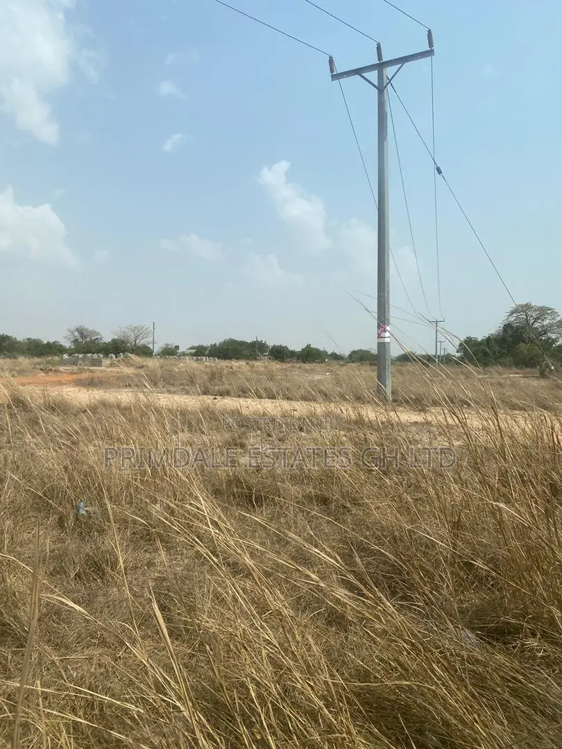 Serviced Lands Tsopoli Well Demarcated