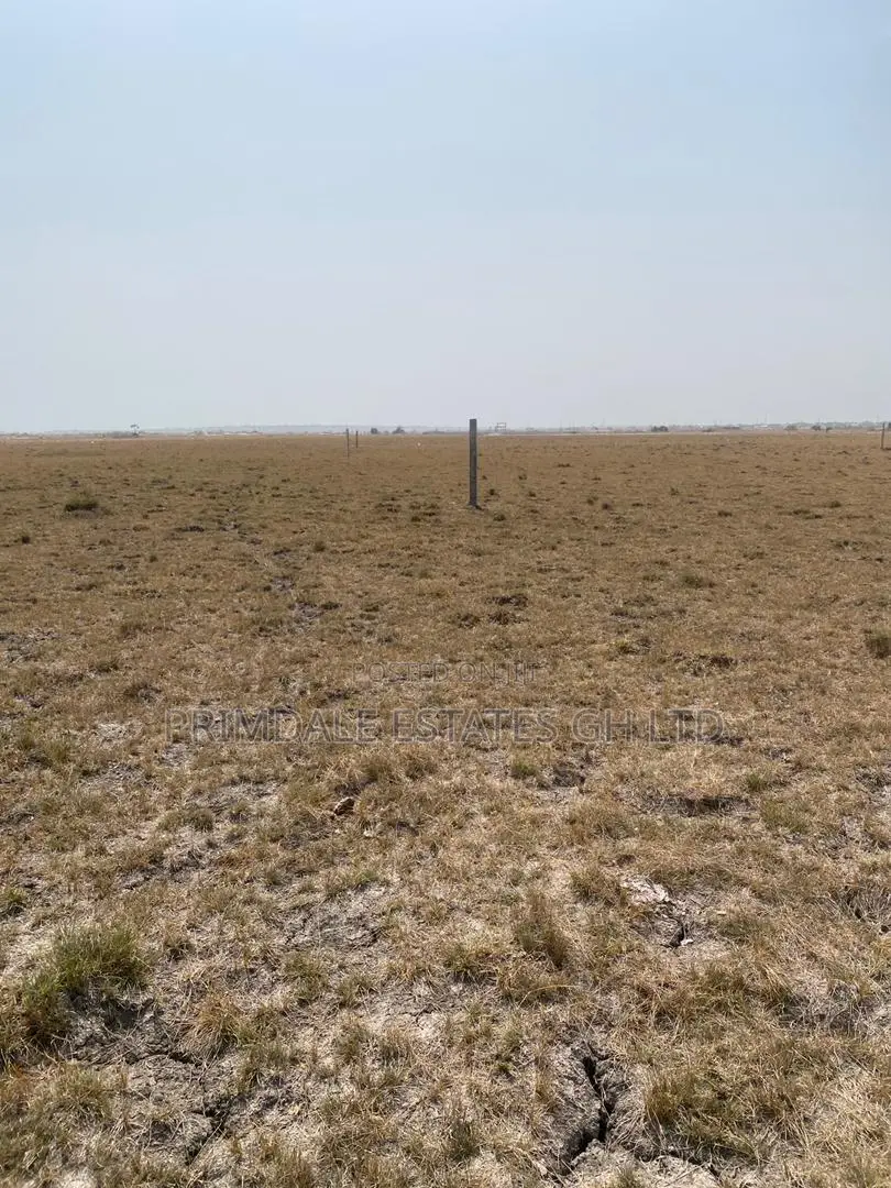 Serviced Lands Tsopoli Well Demarcated