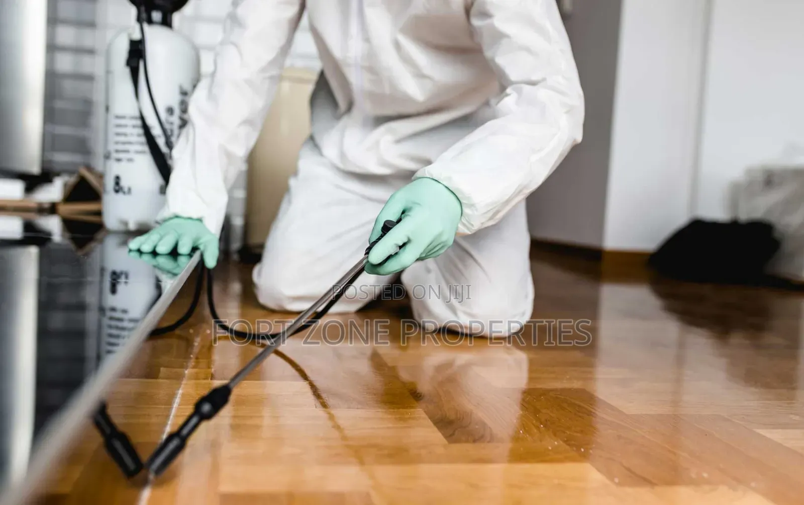 Settle All Your Pest Control and Fumigation With Cleantex