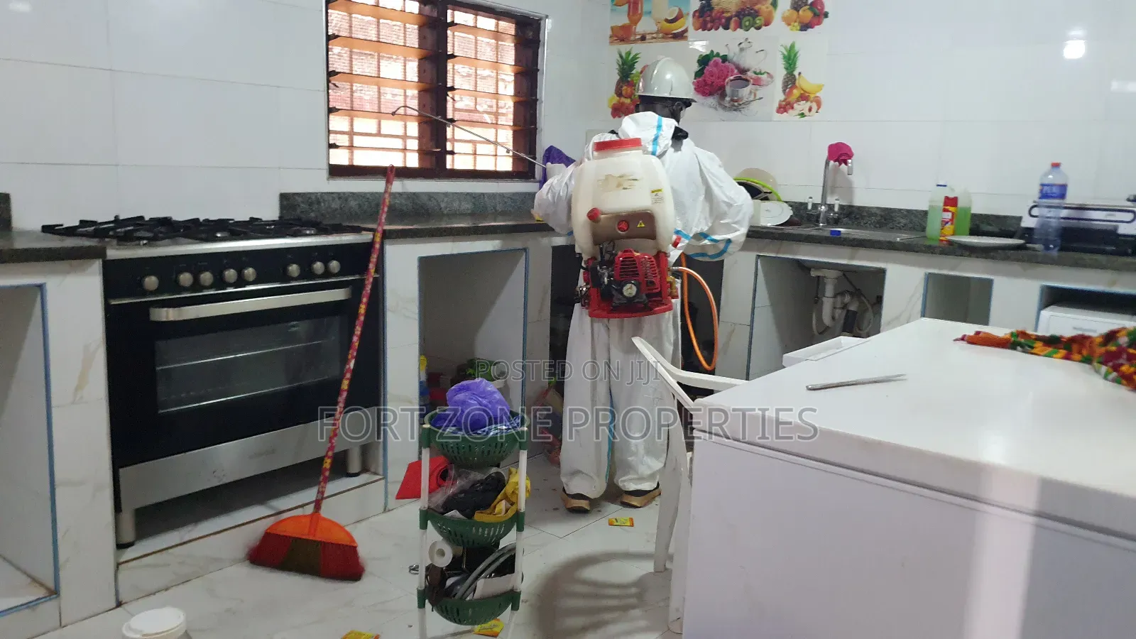 Remove Cockroaches,Bedbugs,Snakes Etc Today