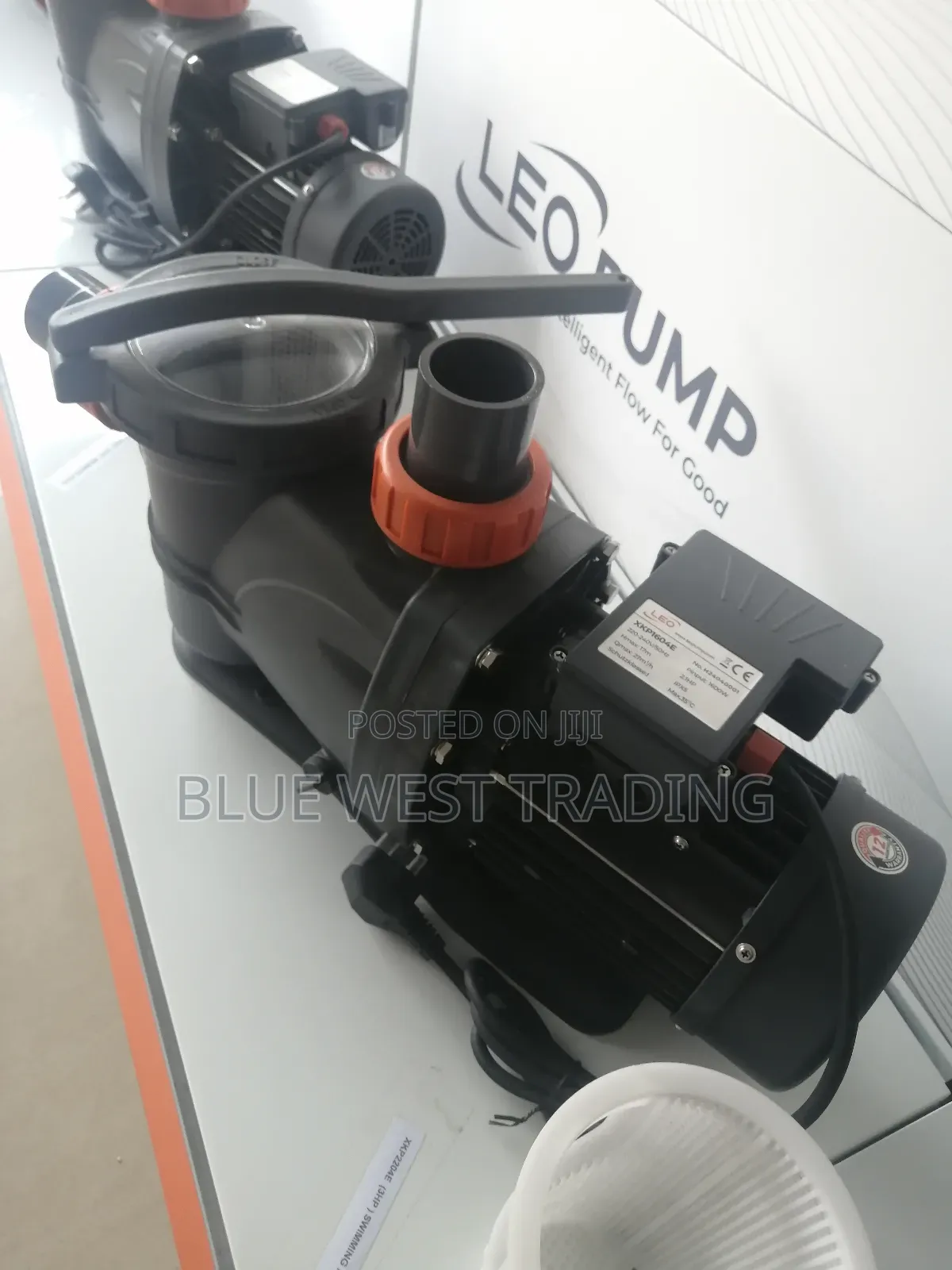 Leo 3hp Swimming Pool Water Pump