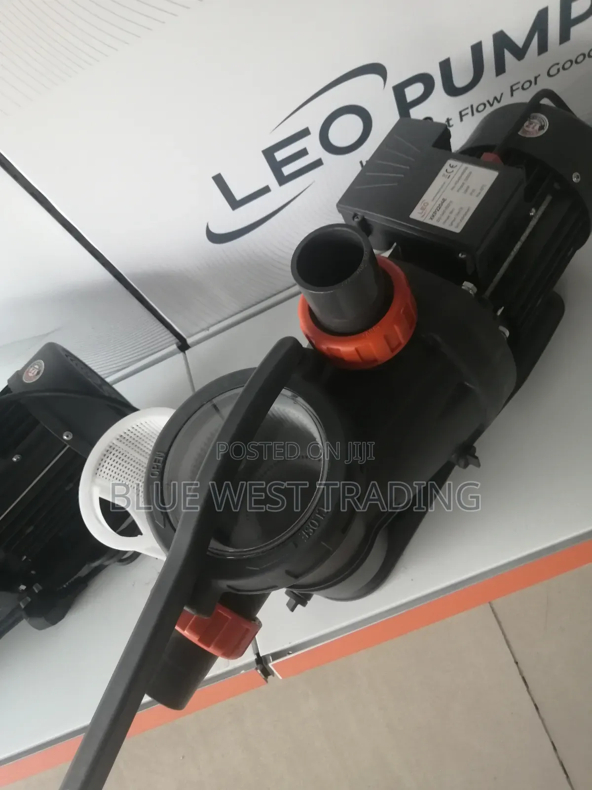 Leo 3hp Swimming Pool Water Pump