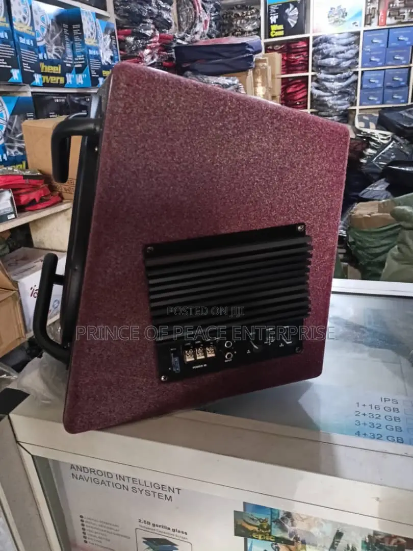 Subwoofer or Booster 12 Inches