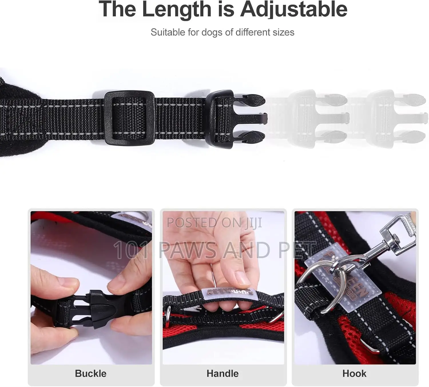 Dog Harness Medium