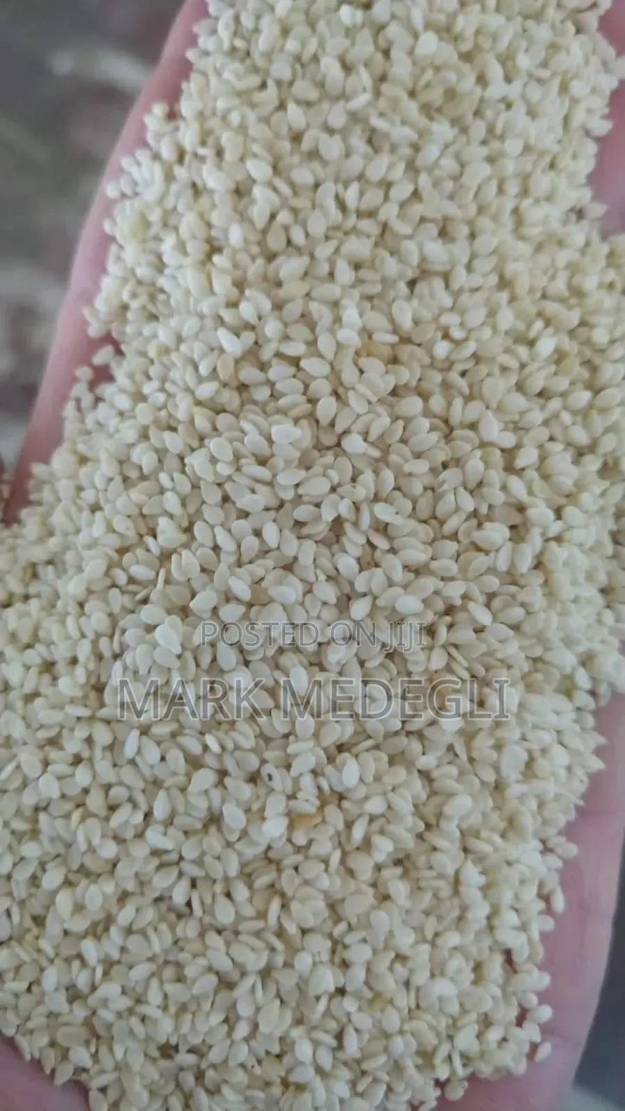Sesame Seeds