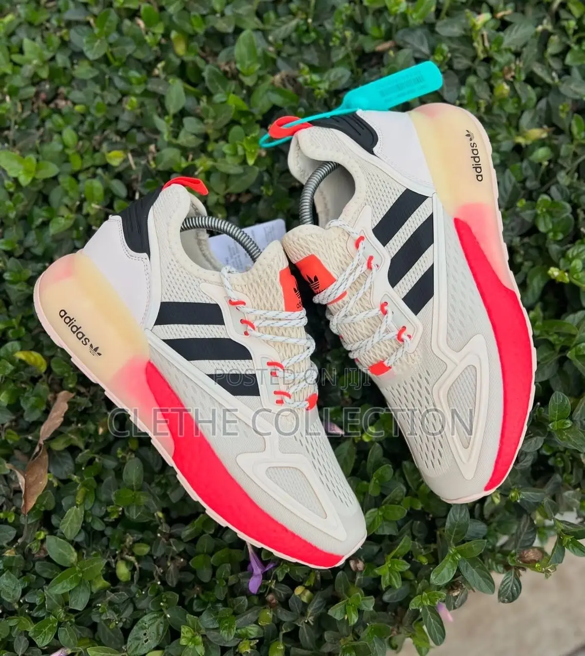 Adidas Sneaker /Shoe