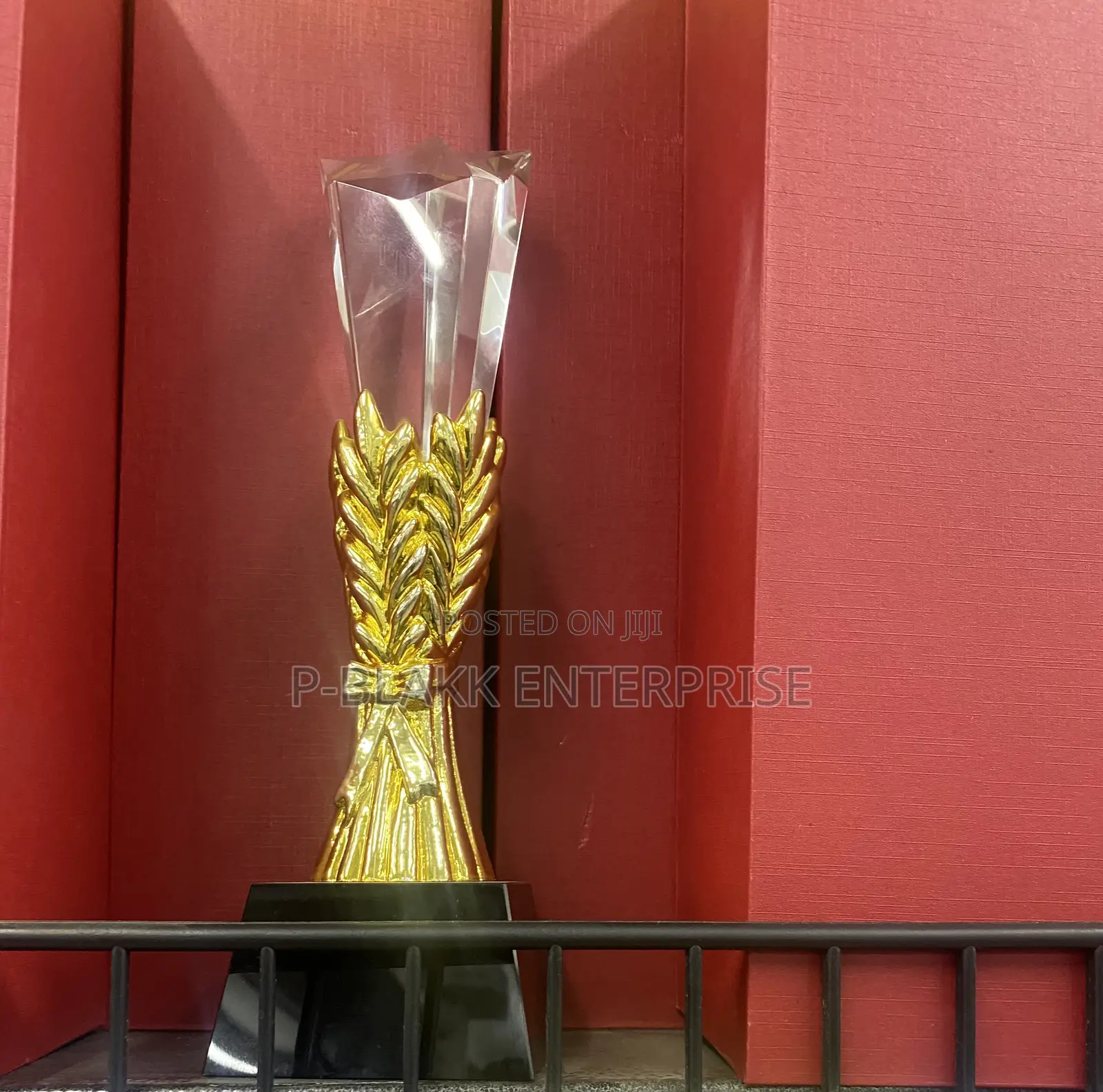 Award Plaques/ Trophy