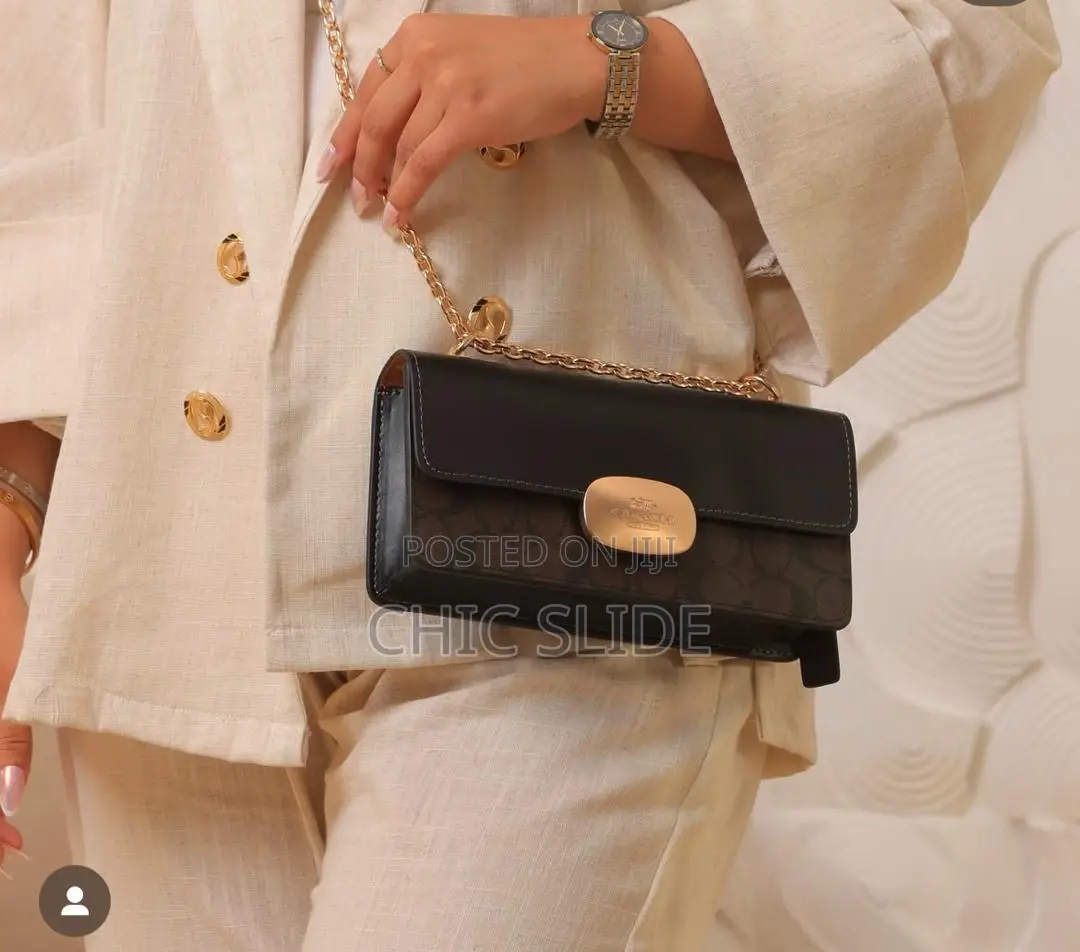 New Coach Bag Small