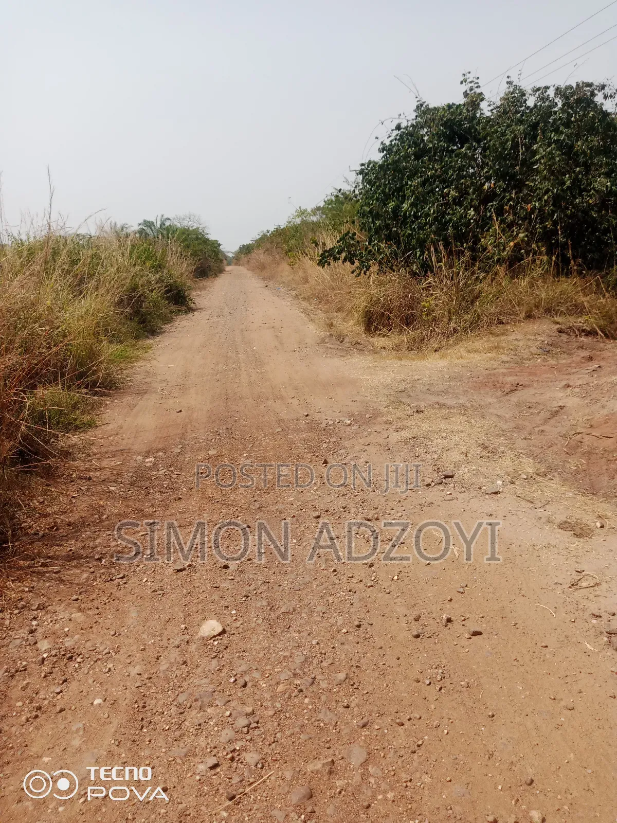 1000 Acres of Cocoa Land for Sale