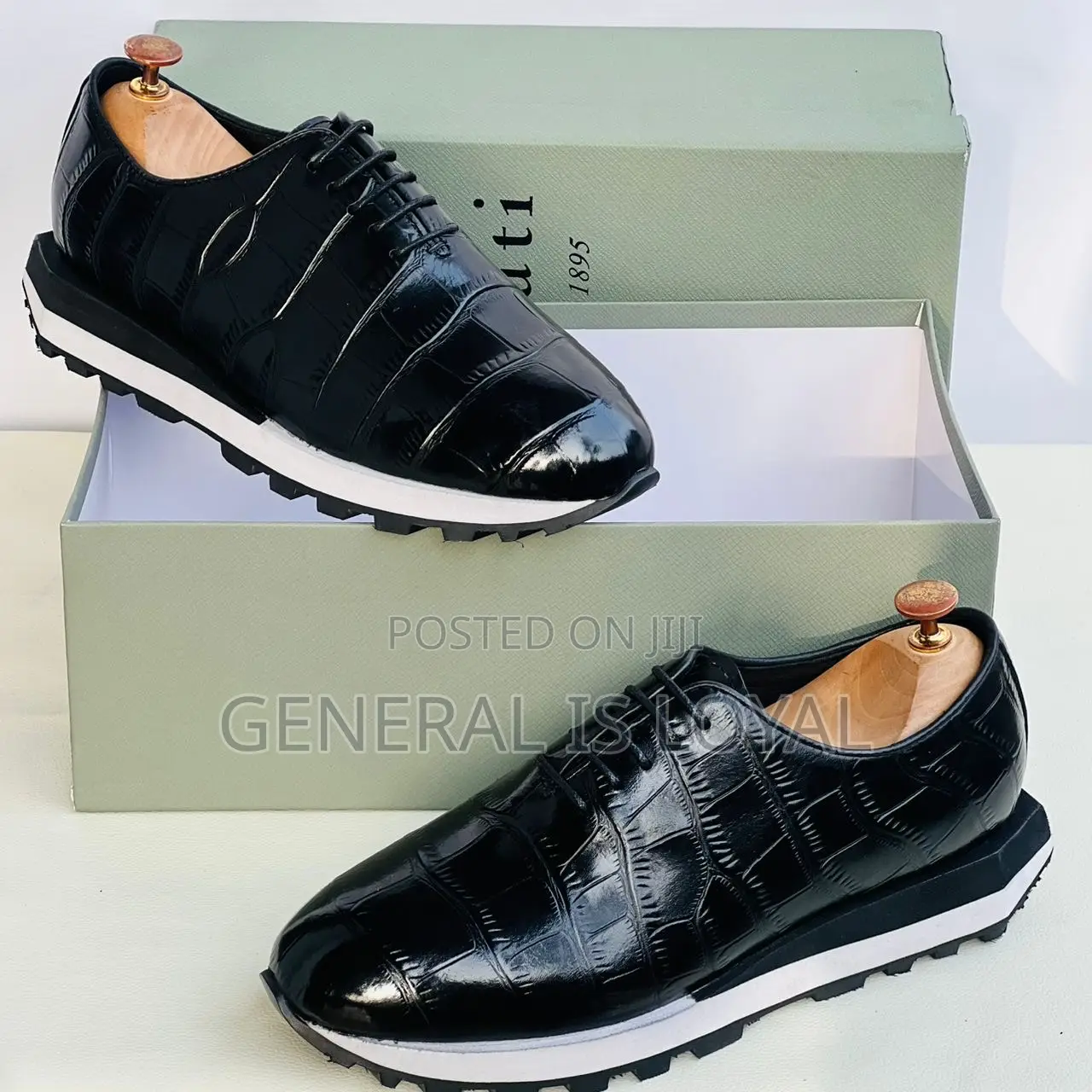 Brown and Black Berluti Shoe