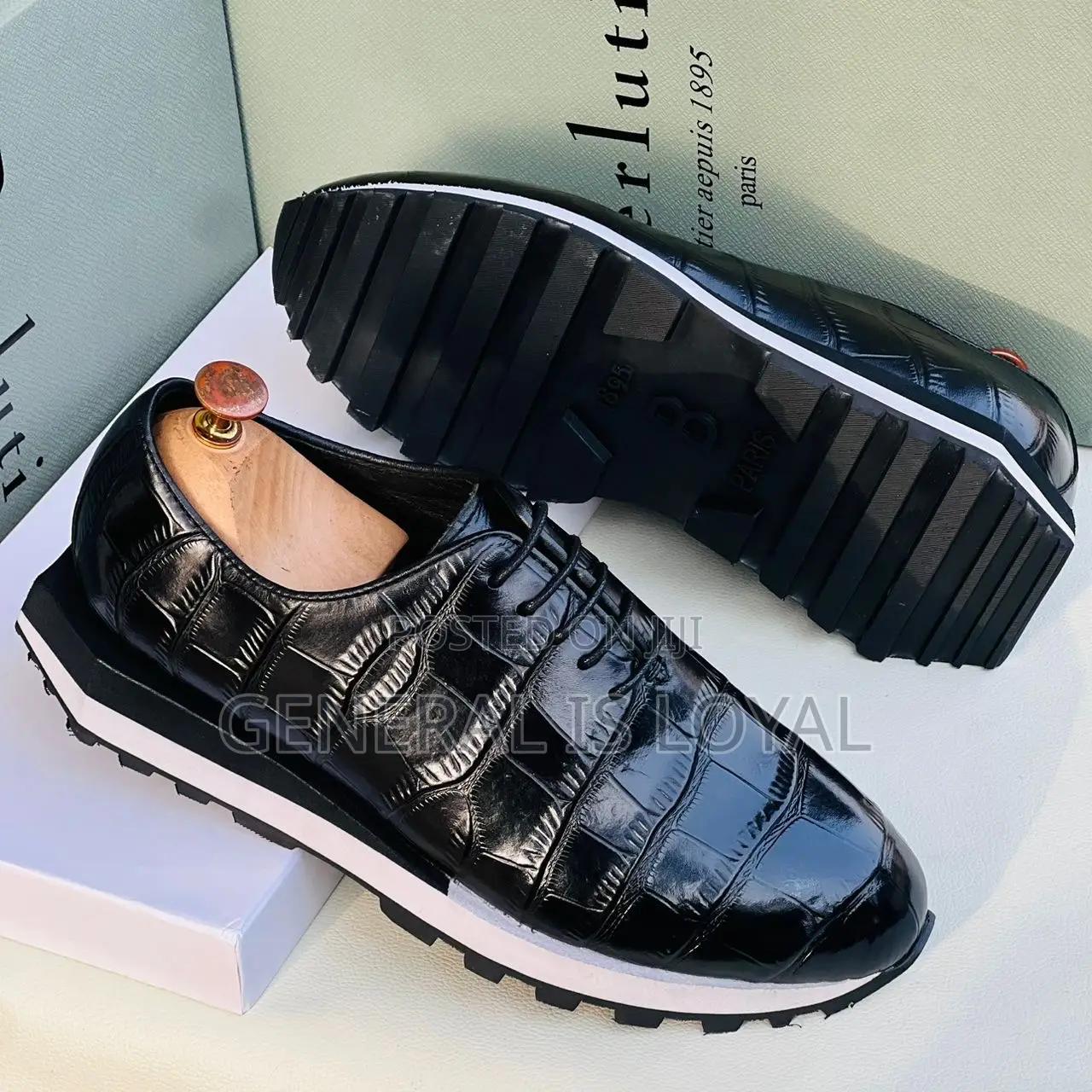 Brown and Black Berluti Shoe