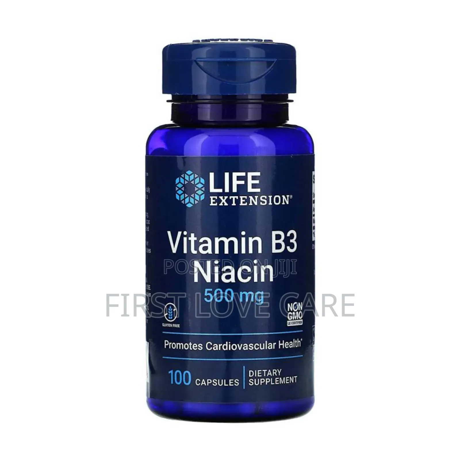 Life Extension Vitamin B3 Niacin