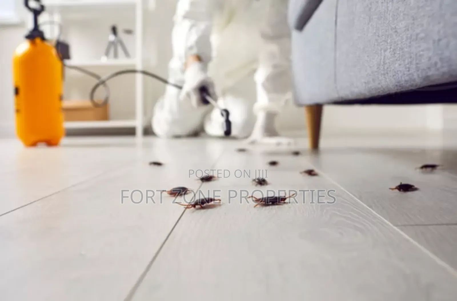 Cockraches,Mouse,Ants Master Fumigation