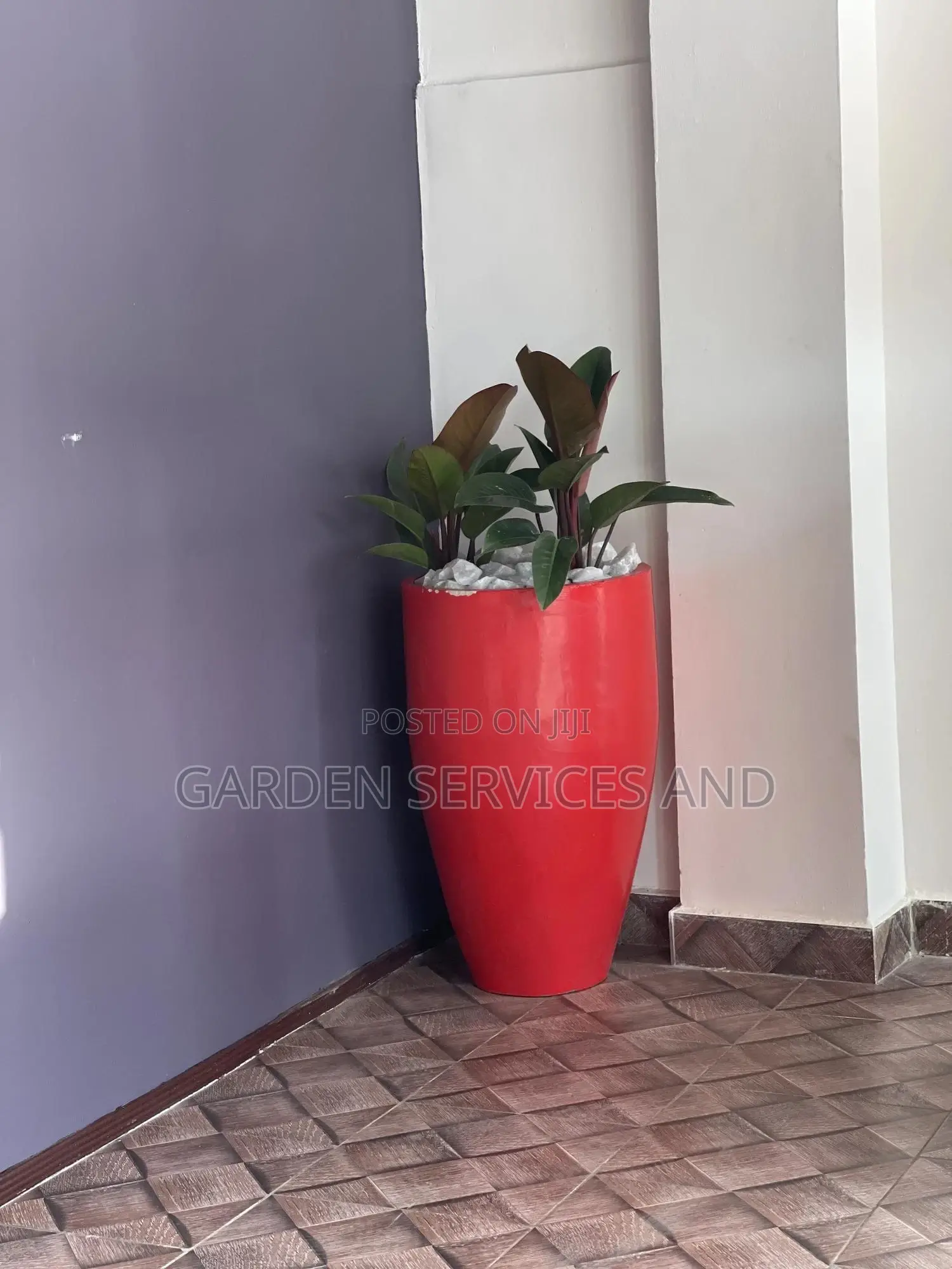 Beautiful Flowers Available for Your House and Offices
