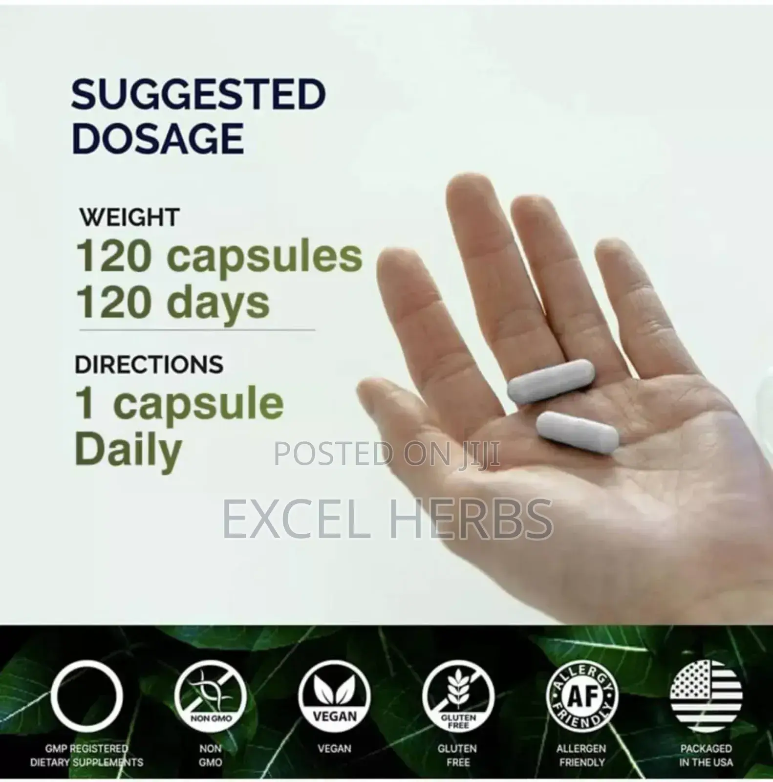 Milk Thistle Seed 1000mg Capsules, Maintain Health Liver Fun