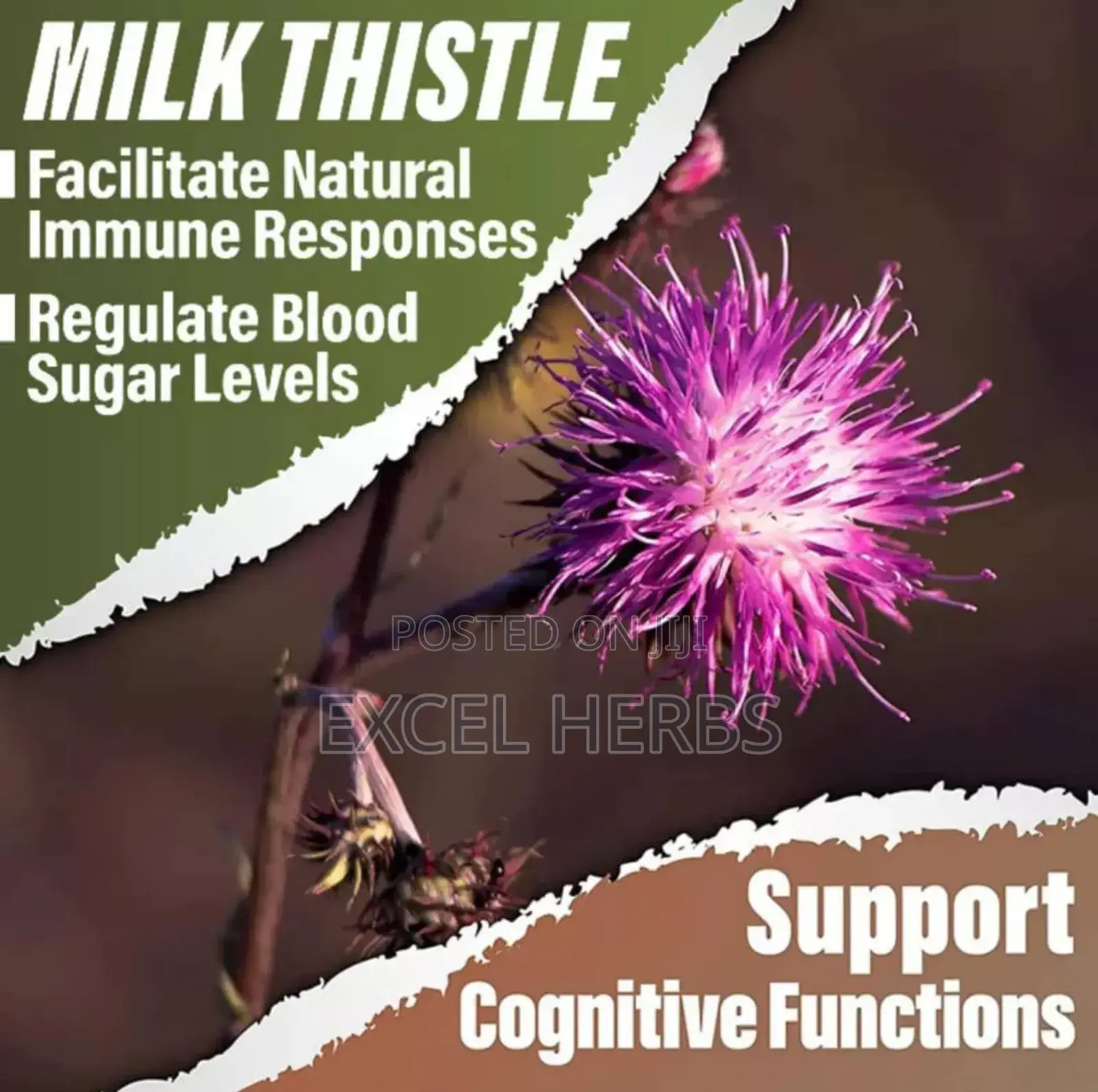Milk Thistle Seed 1000mg Capsules, Maintain Health Liver Fun