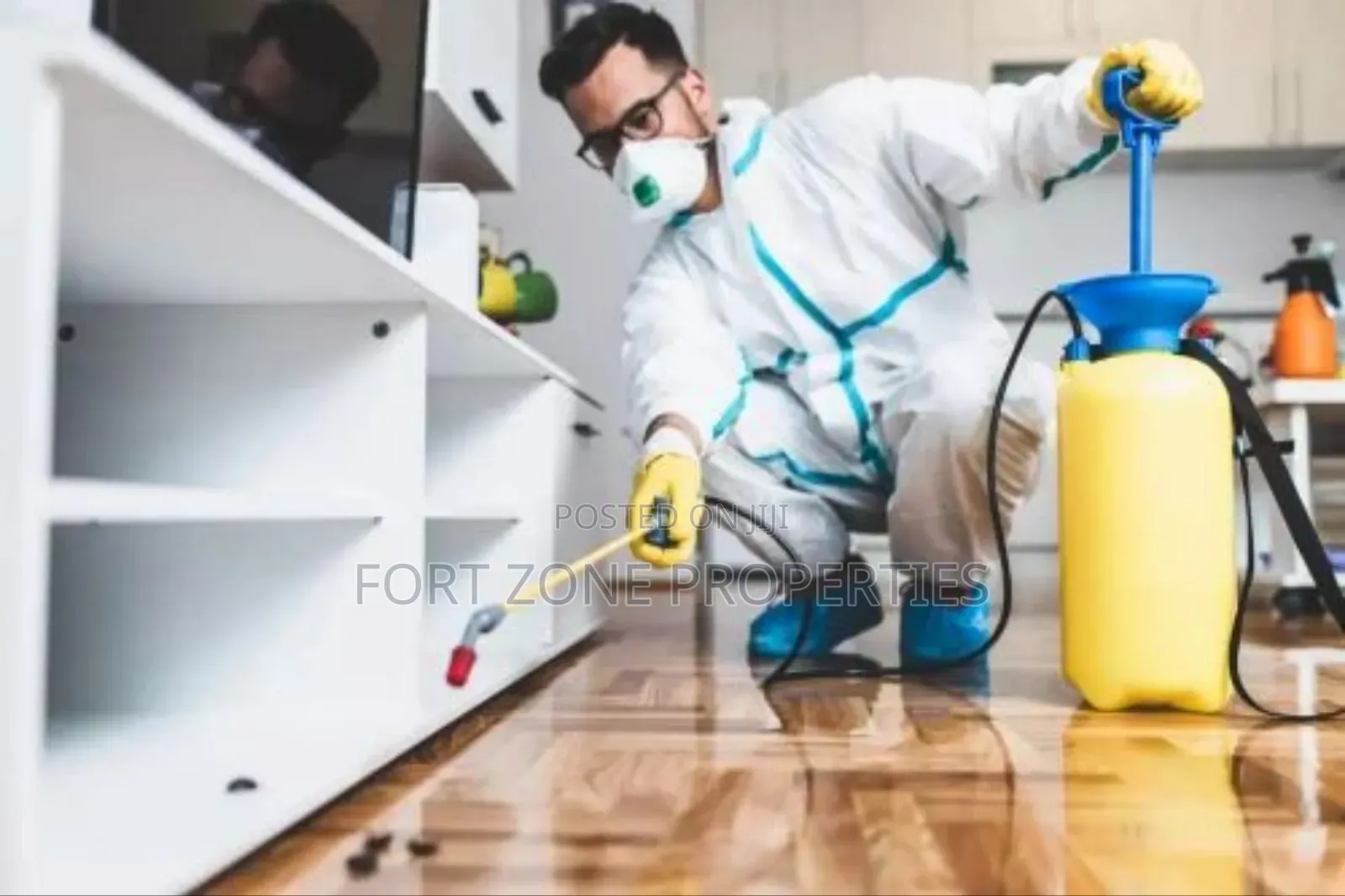 Ants Pest Control