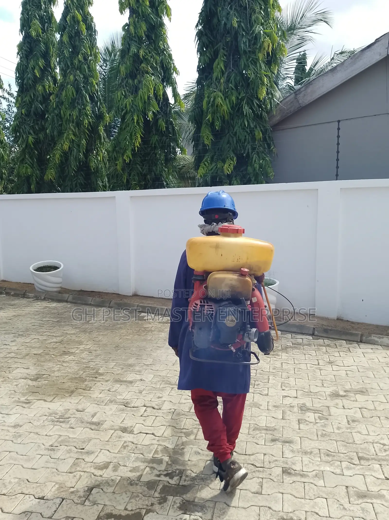 Fumigation and Pest Control Service