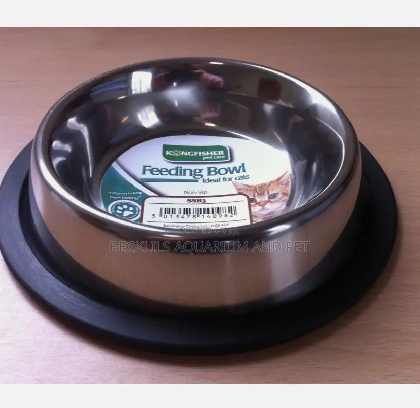Extra Large Dog Bowls For Bigger Dogs